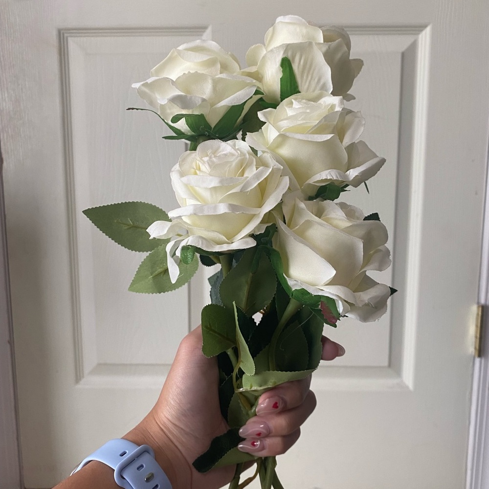 Plastic Roses